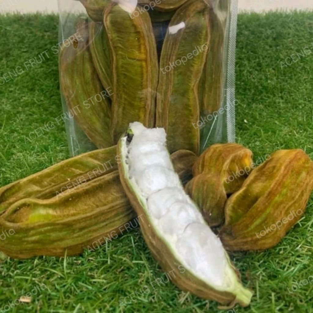 Buah salju buah kapas bali buah kapas segar langka 1 kg