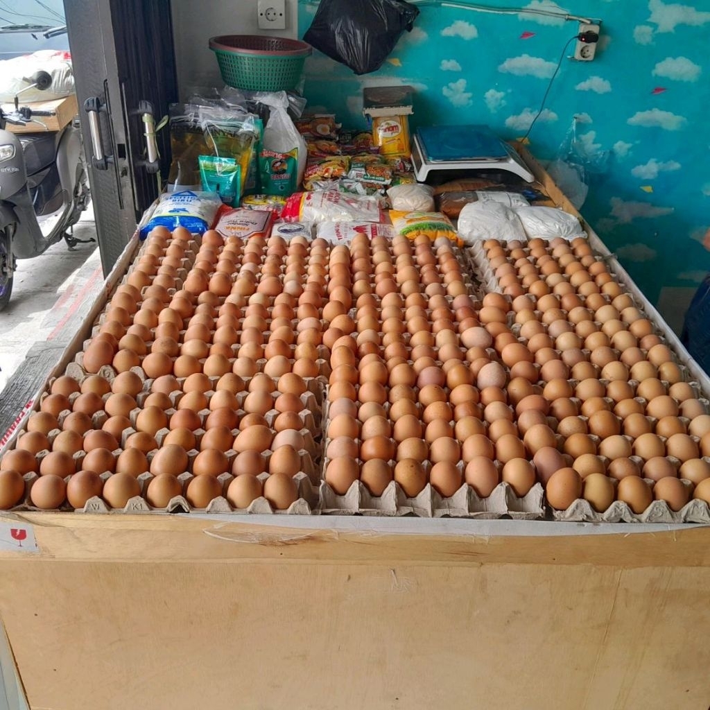 

Telur Ayam Negeri Asli / Telur Ayam Negeri Berkualitas (Per Kilogram)