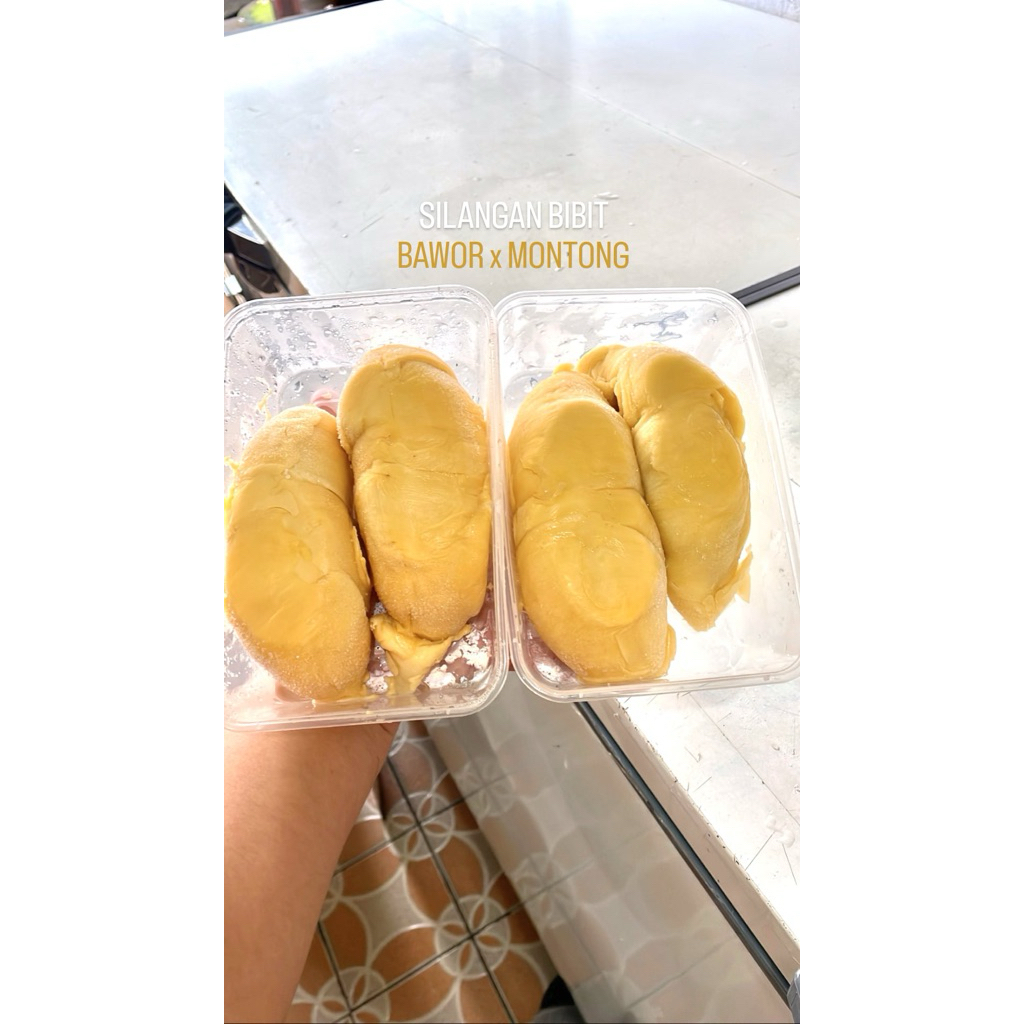 

DURIAN BAWOR SULAWESI 500gram / DUREN BAWOR