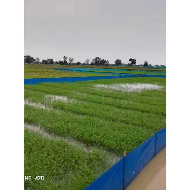 Plastik Fiber Pagar Sawah / Plastik Pagar Tikus 10kg 60cm x 90m