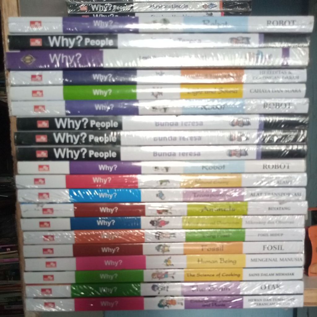 buku why cuci gudang