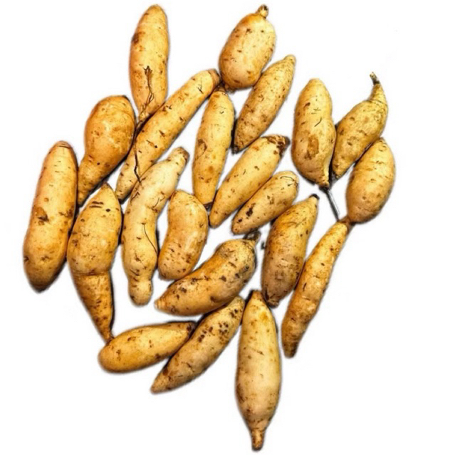 

ubi madu suda di cuci bersih Bagus Untuk Diet dan untuk bayi dan cocok untuk cemilan 500g