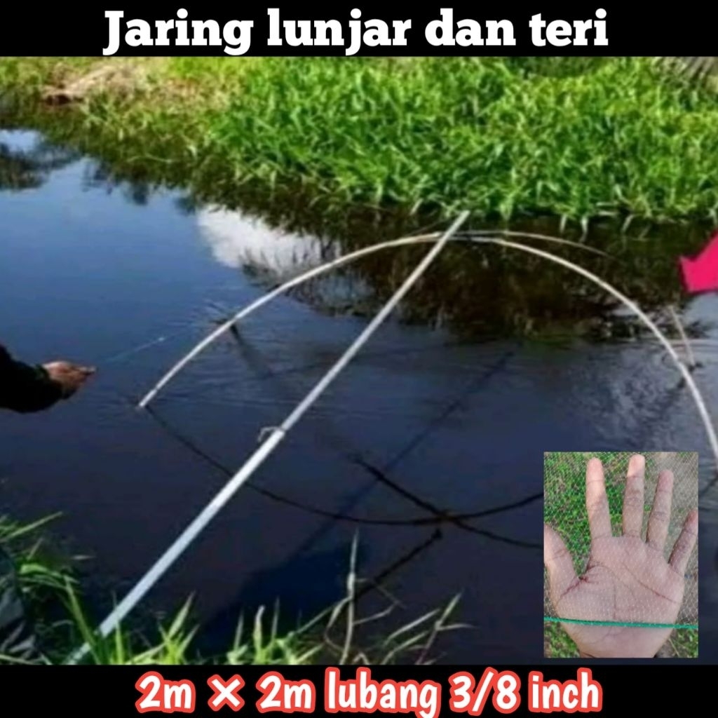 Jaring Anco / tangkul ikan buat ikan teri dan anakan ikan ukuran 2 × 2 meter persegi lubang 3/8 inch