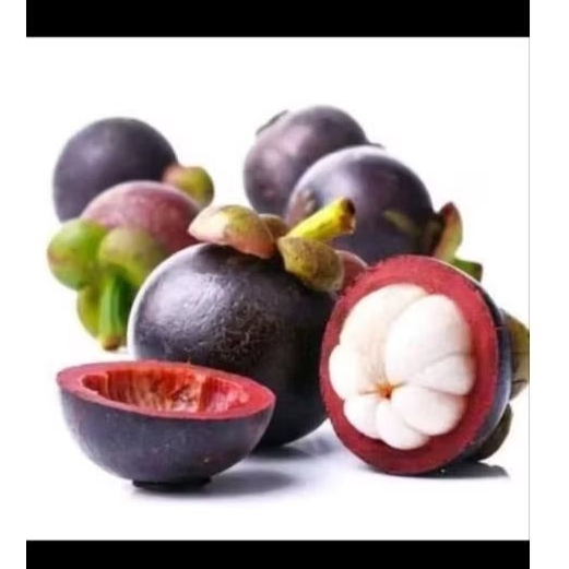 

Sari Manggis original