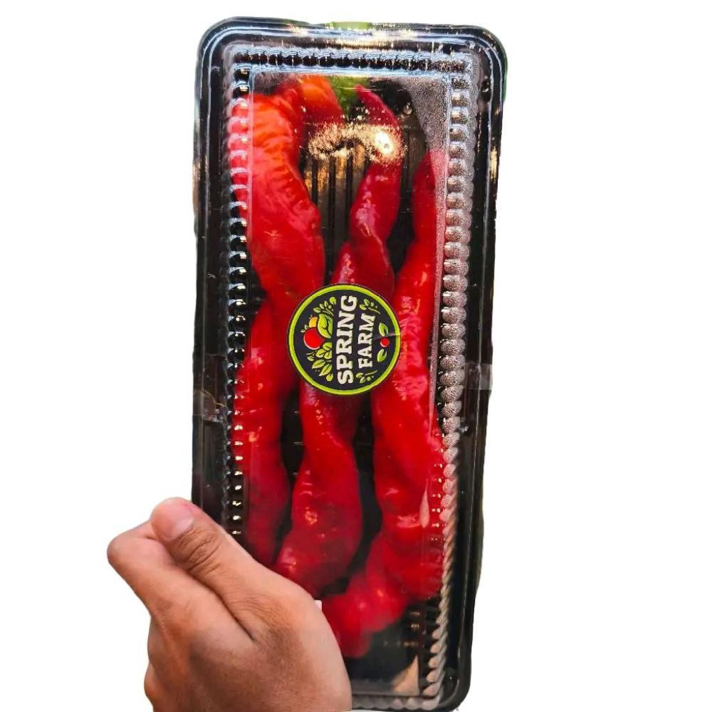 

Cabai shisito jumbo merah red spirall pepper gift pack-+300 gram