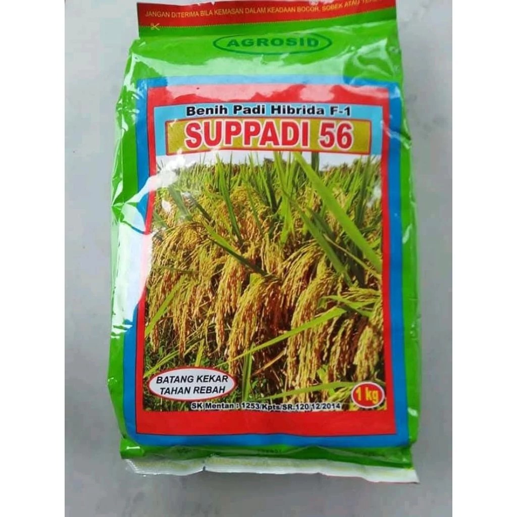 BENIH SUPADI 56 EXP 05/26