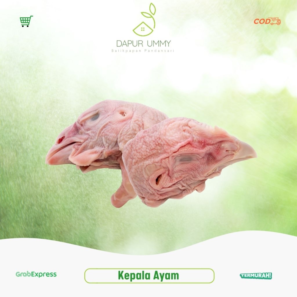 

AYAM • Kepala Ayam