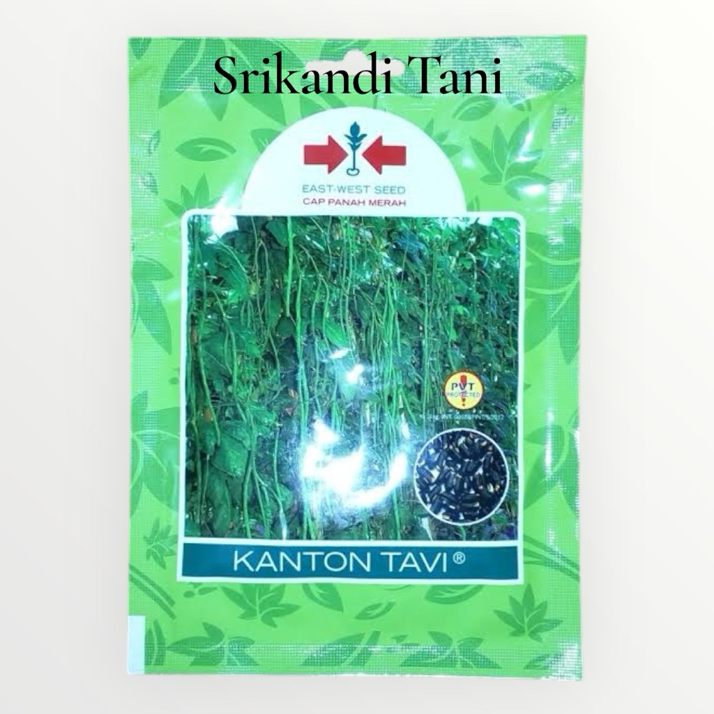 

Kacang Panjang KANTON TAVI isi 200 Butir