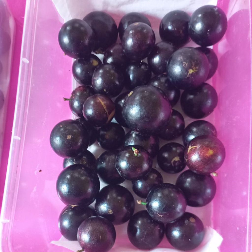 

Buah Anggur Angur manis segar