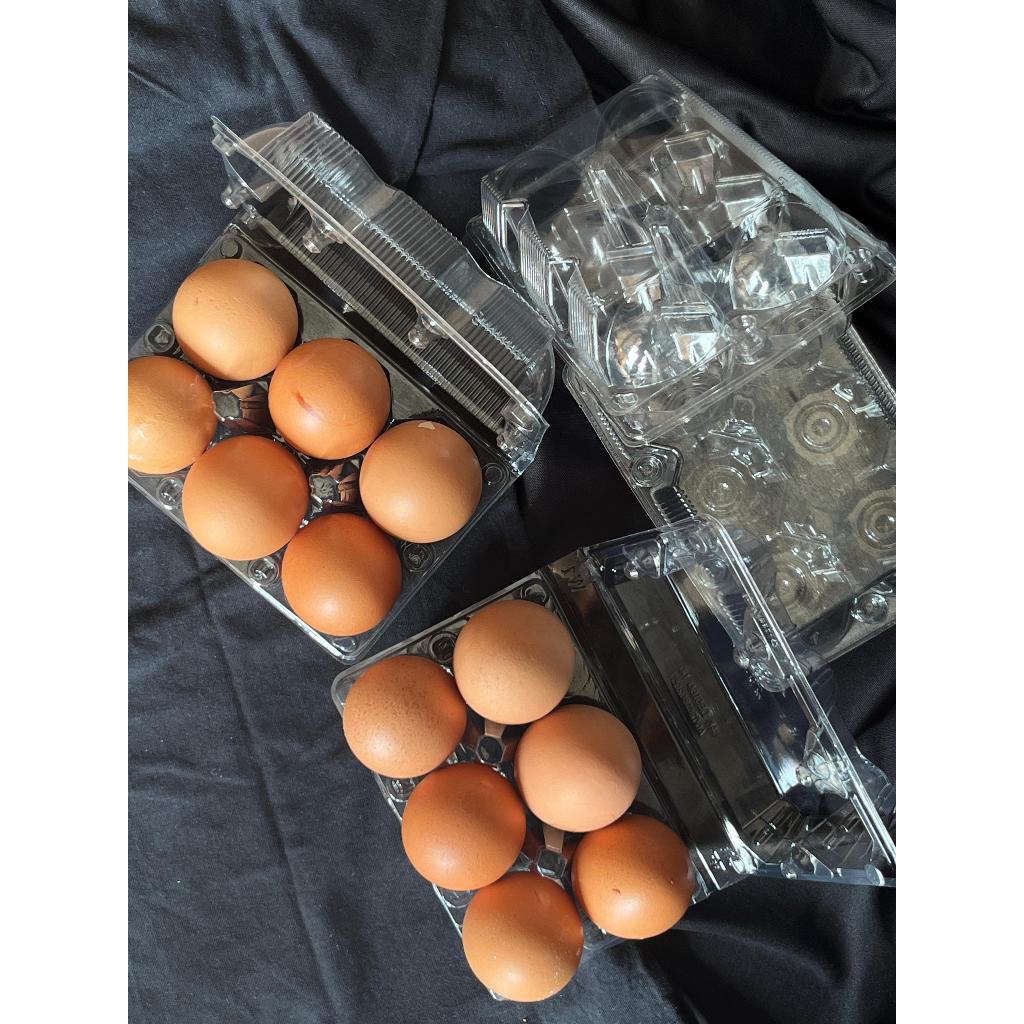 mika tray telur isi 6 negeri/bebek tebal