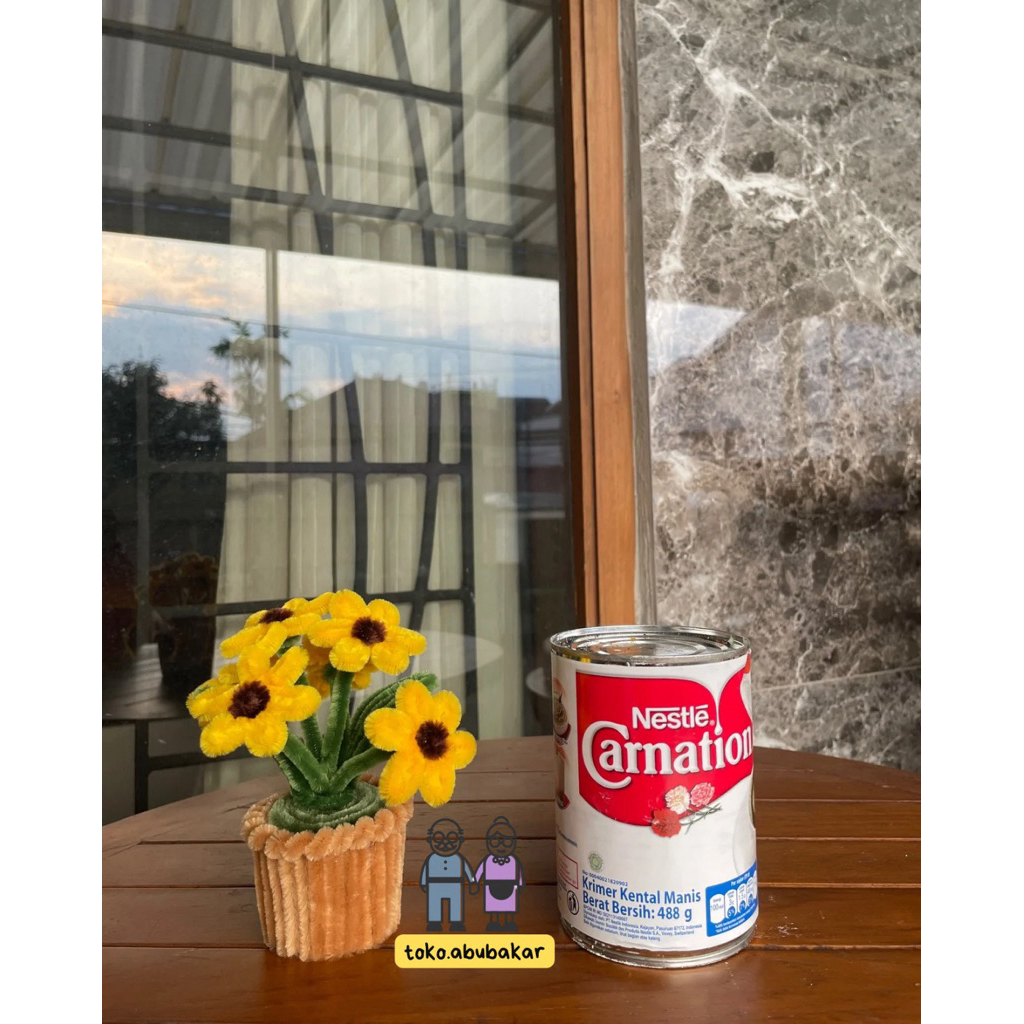 

susu nestle carnation