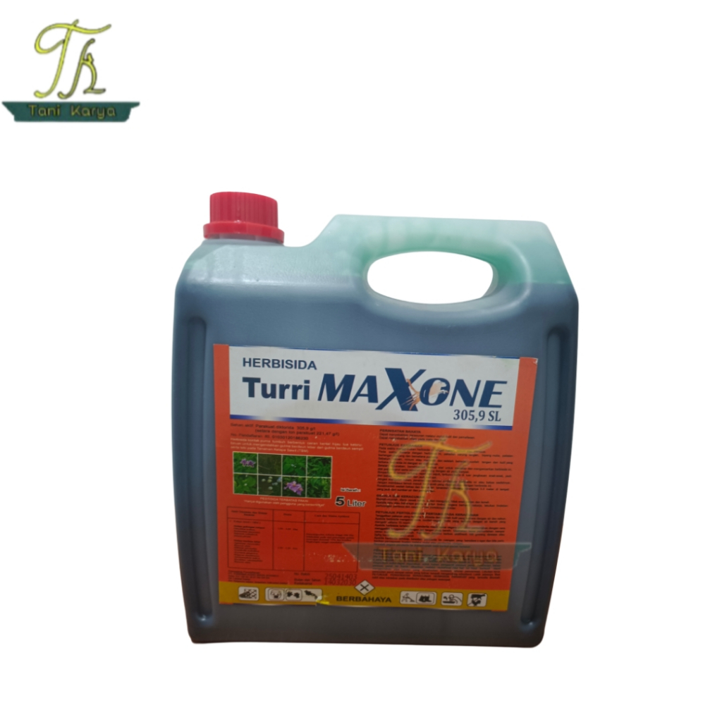 HERBISIDA TURRI MAXONE 305,9 SL 5 LITER / PEMBASMI RUMPUT ALANG ALANG / BASMI RUMPUT LIAR DAUN LEBAR