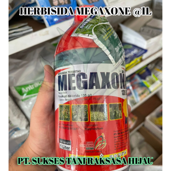 Herbisida Megazone 135sl 1liter Untuk Sawit Dan Jagung