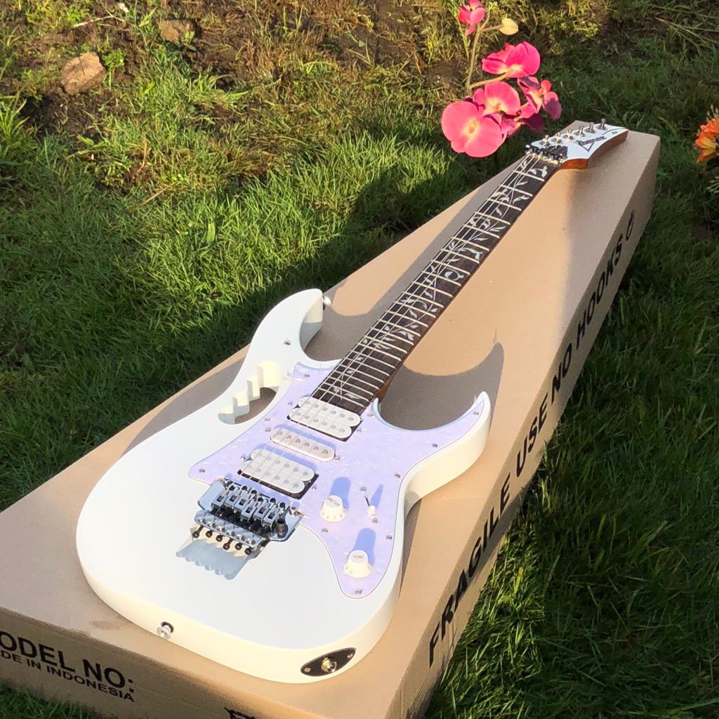 Gitar Elektrik Custome Ibanez jen flover MII tremolo up down ryldros