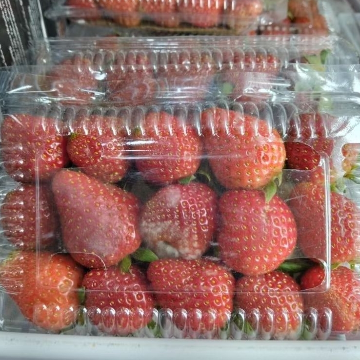 

Strawberry Lokal 1 pack - strawberry manis asam segar