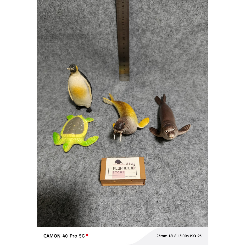Aldracil Mainan Hewan Laut Kutub Figure Pinguin Seal Kura-kura Walrus ALF05