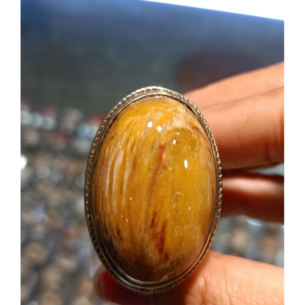 Cincin batu Fosil kelor /jumbo(natural)