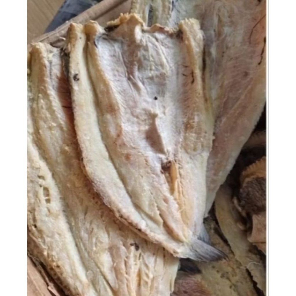 ikan Asin Gabus Full Daging