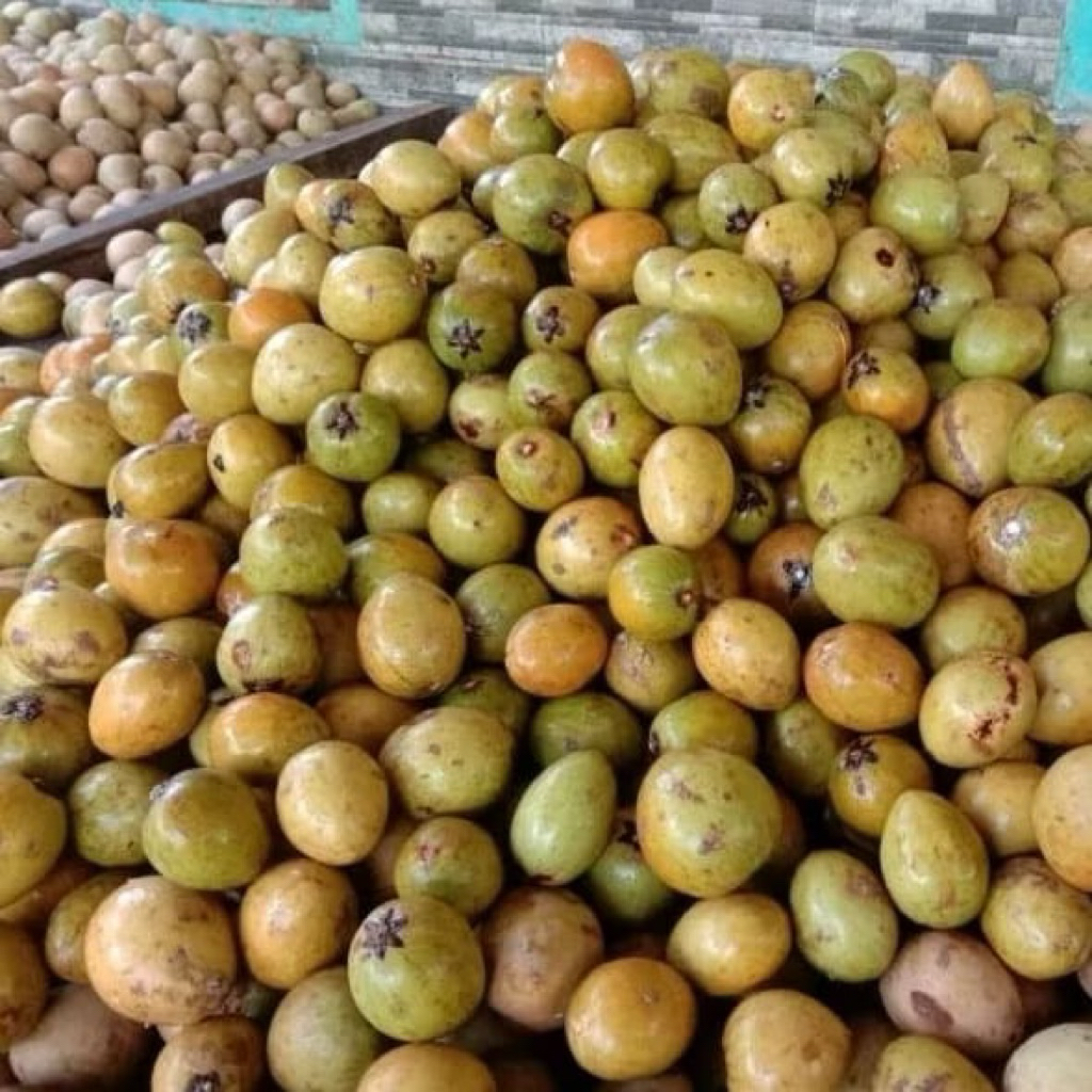 

[serba 10] sawo 5buah