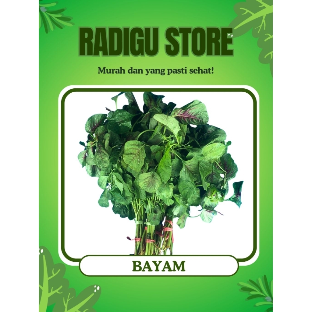 

Sayur Bayam