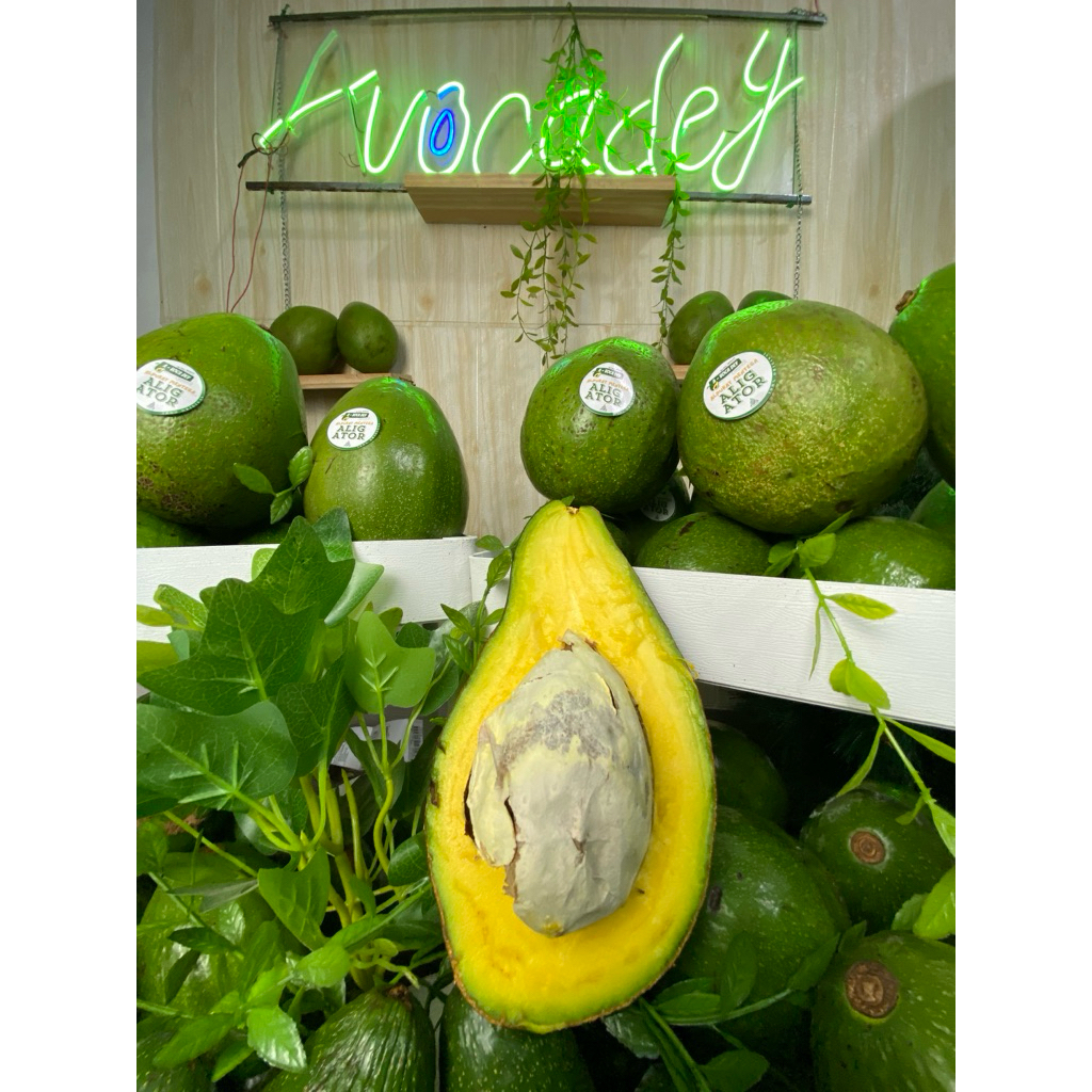 

ALPUKAT MENTEGA AVOCADEY isi 3/4/5