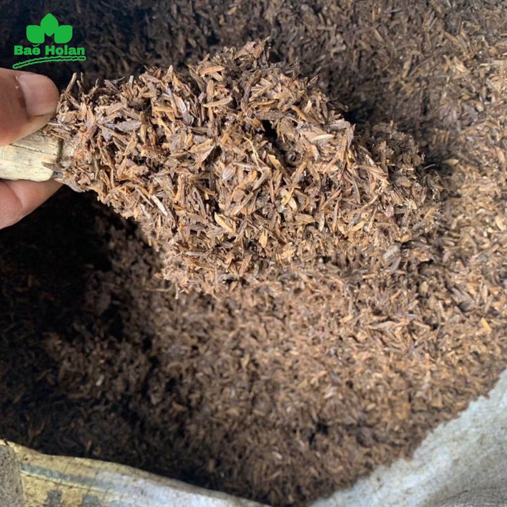 1 Karung Sekam Fermentasi Media Tanam Siap Pakai untuk Tanaman Hias Aglonema