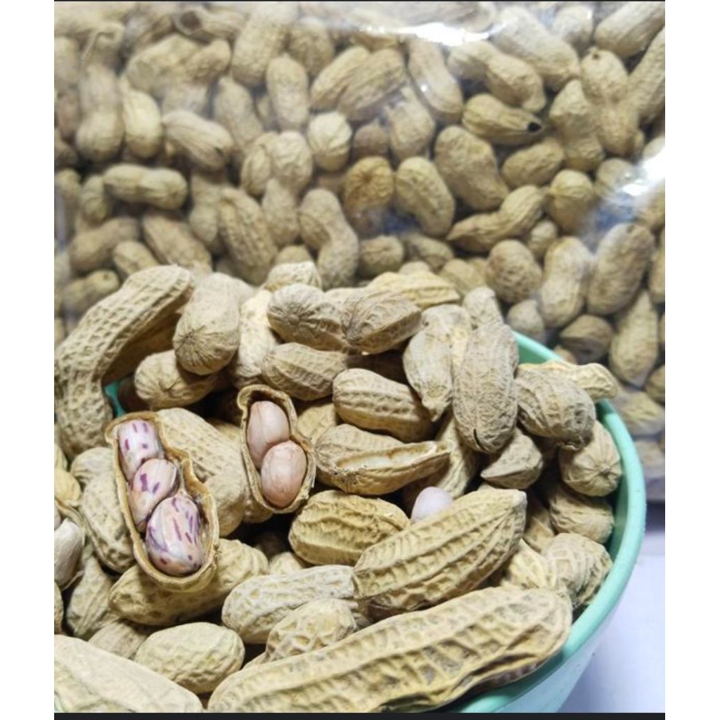 

(COD)KACANG KULIT ASIN.