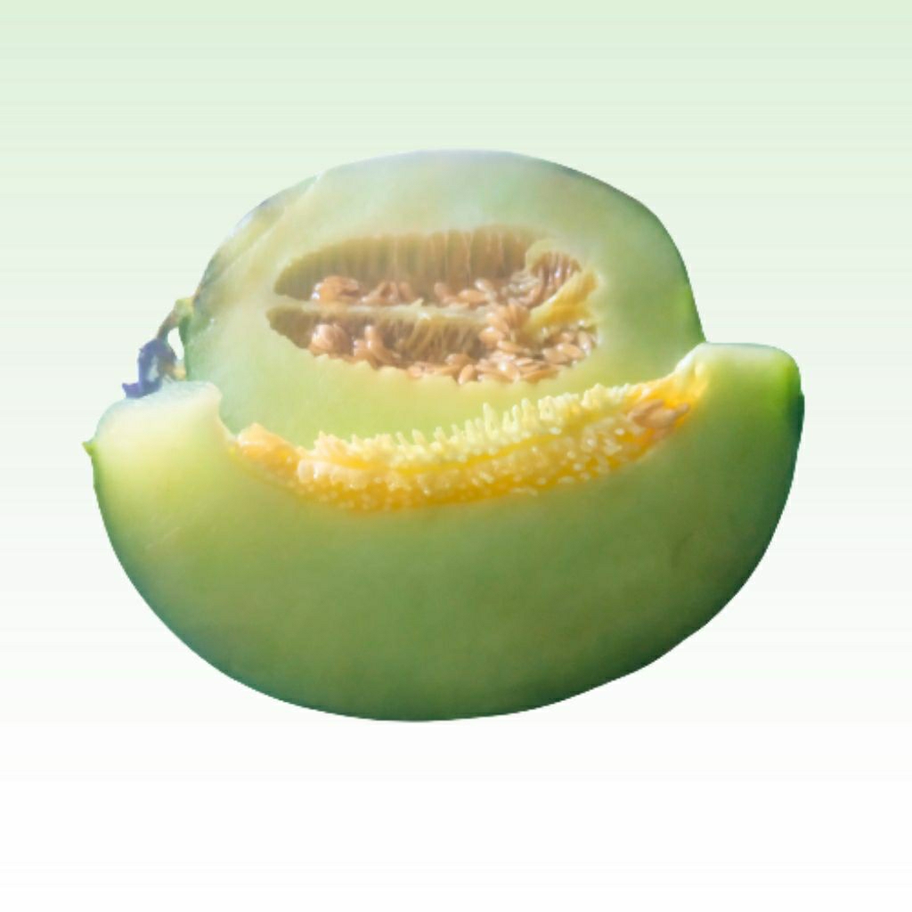 

melon