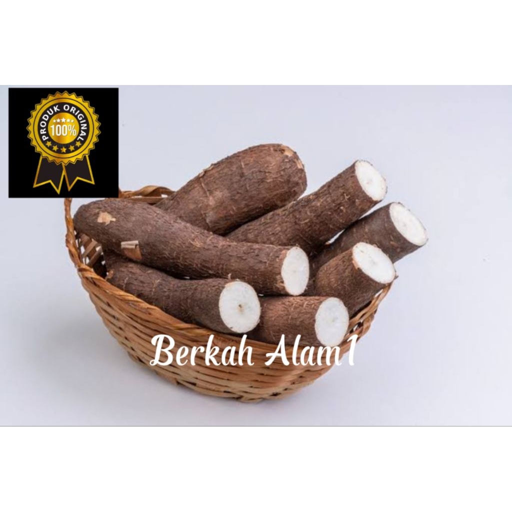 

Umbi singkong fresh 1kg pulen-singkong