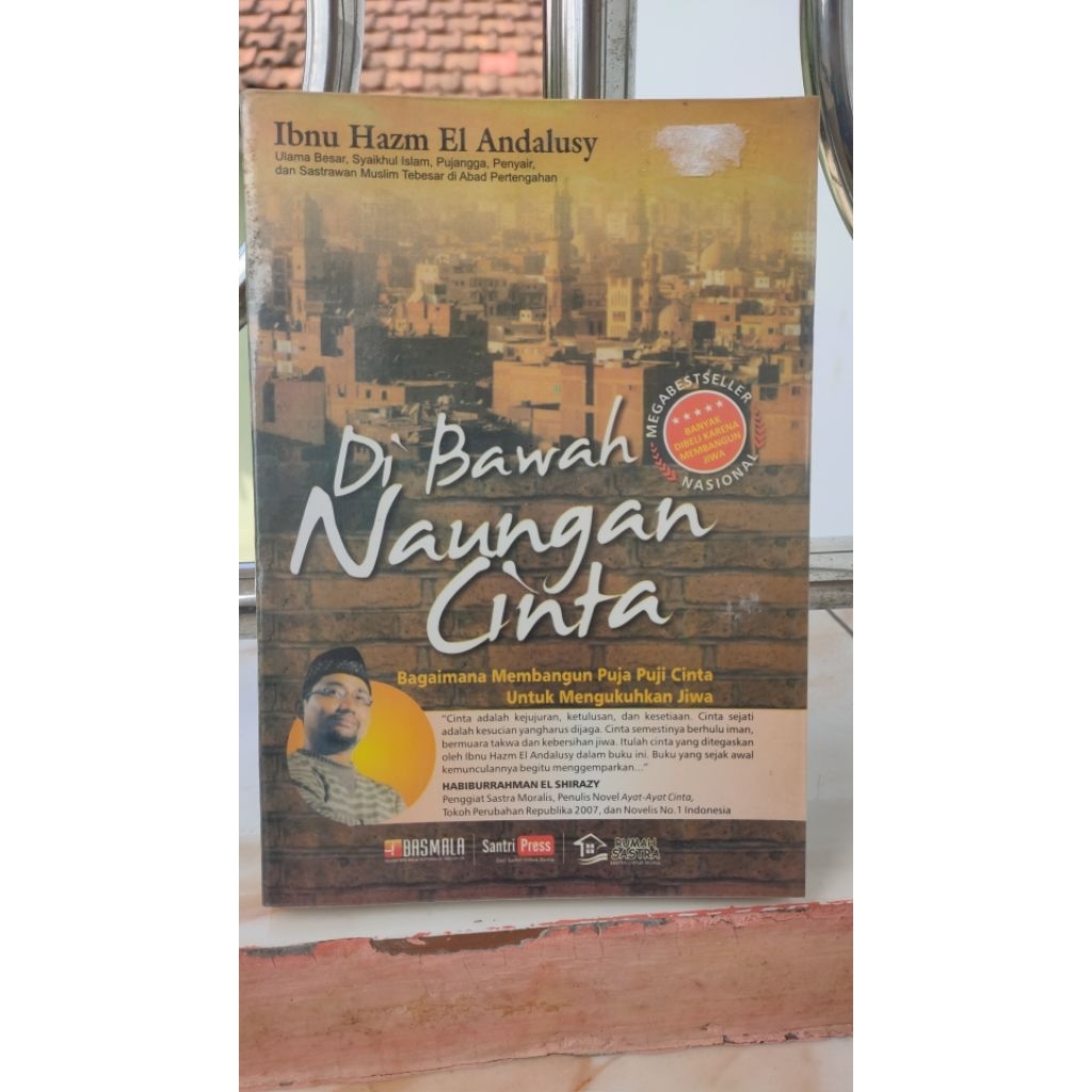 Novel Di Bawah Naungan Cinta - Ibnu Hizam El Andalusy