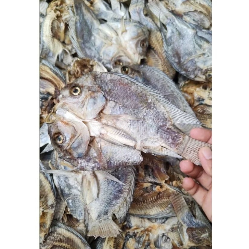 

Ikan Asin Mujaer / Ikan Asin Murah Enak