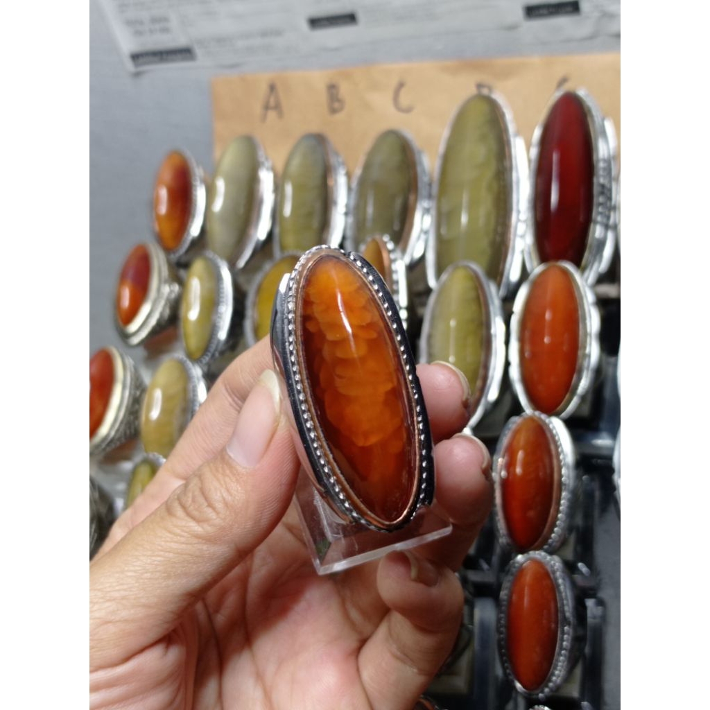 pandan merah sisik betok ring berfariasi /ring monel