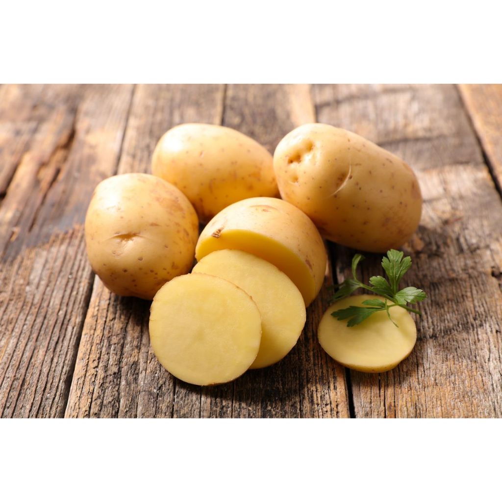 

Kentang Sedang Dan Besar 500gr-1000gr