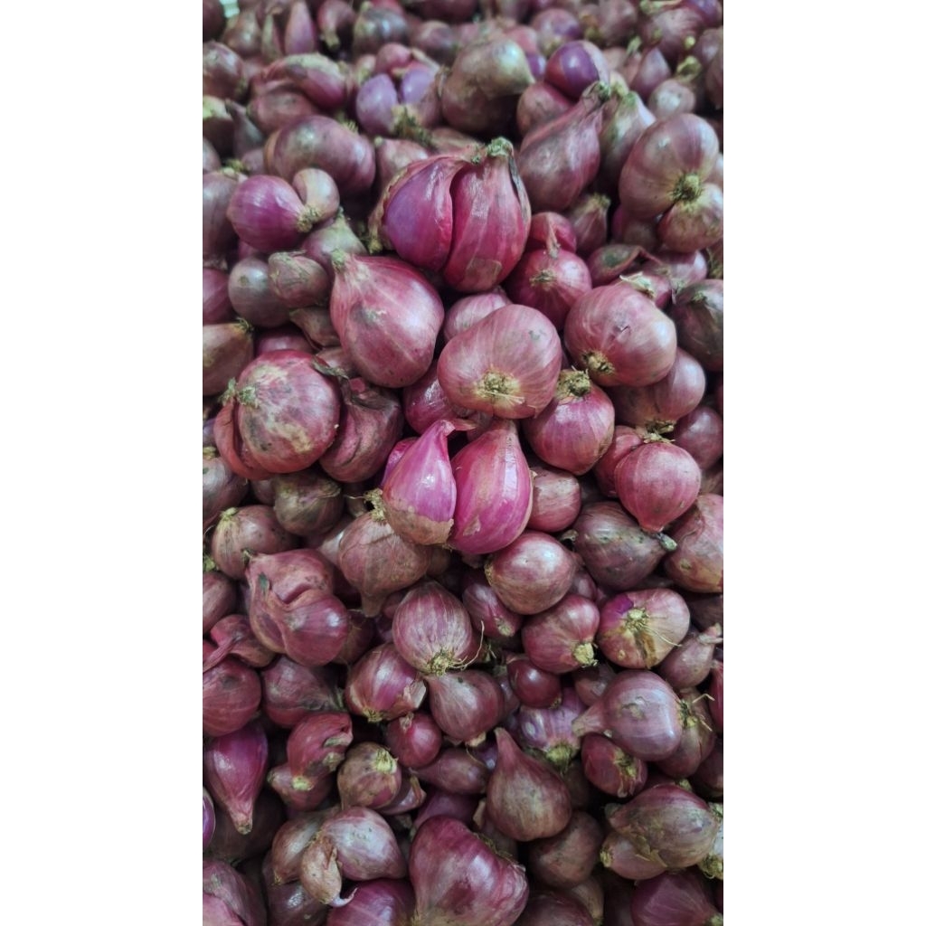

Bawang Merah