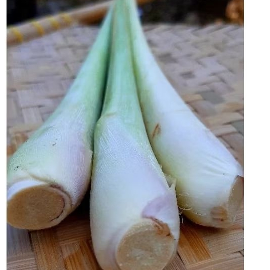 

srehh segar rempah bumbu dapur