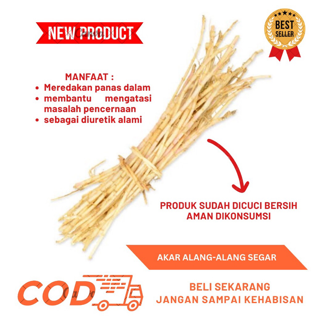 

Akar Alang-Alang Segar 500gram-Obat Herbal Tradisional