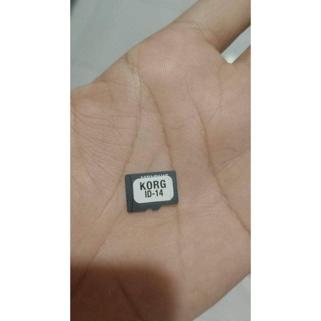 donggel korg pa1000