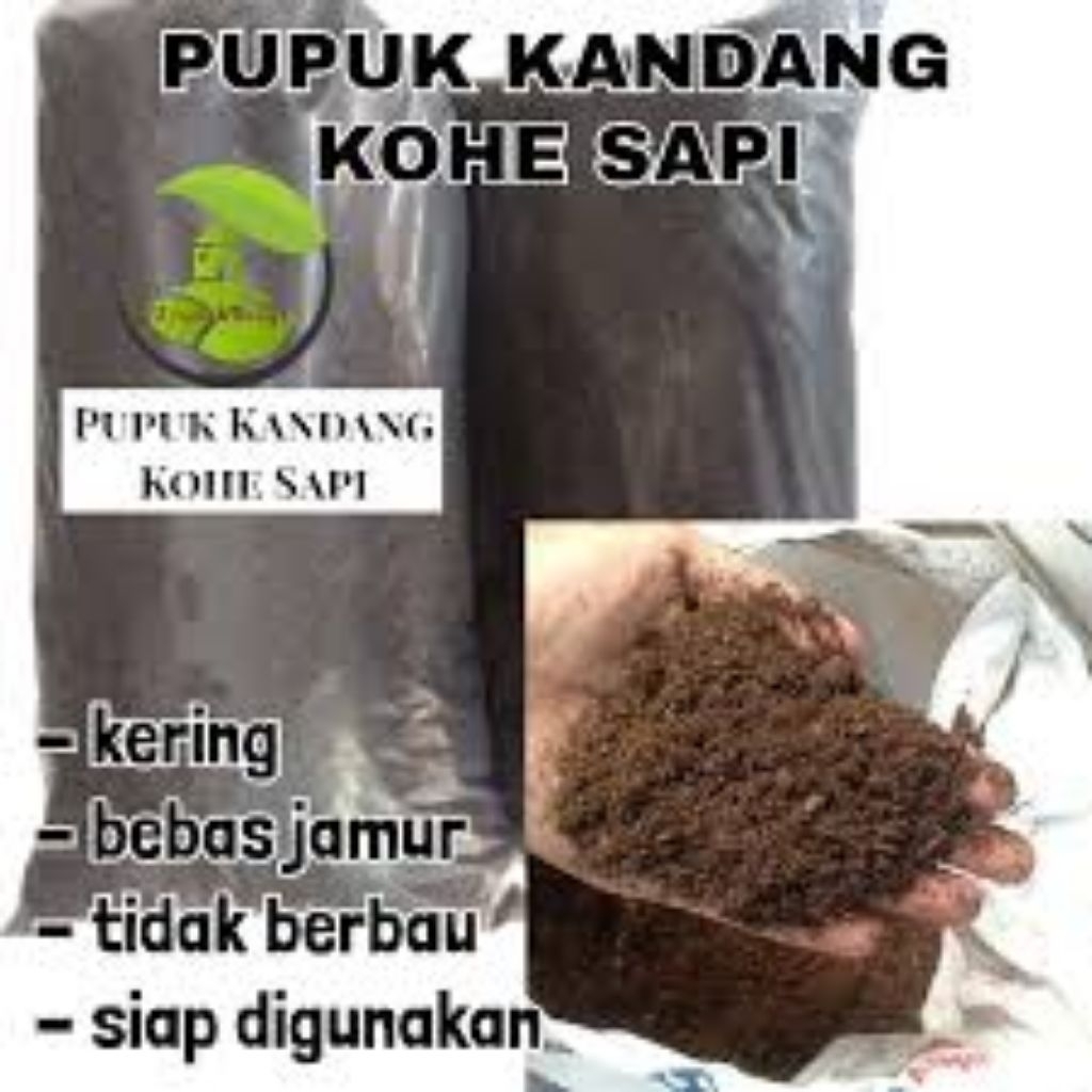 kotoran sapi kering penyubur tanaman
