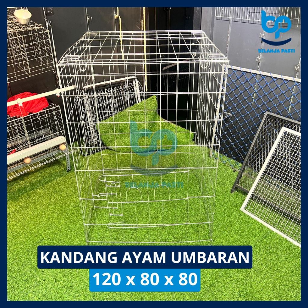 Kandang Ayam Umbaran Ukuran 120 x 80 | Kandang Galvanis Tahan Karat