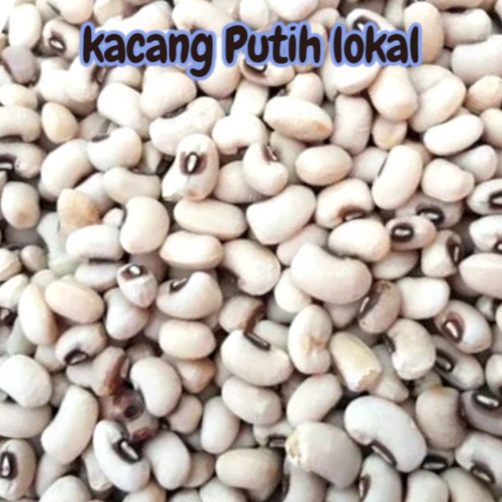 

KACANG PUTIH LOKAL BARU PANEN PER LITER