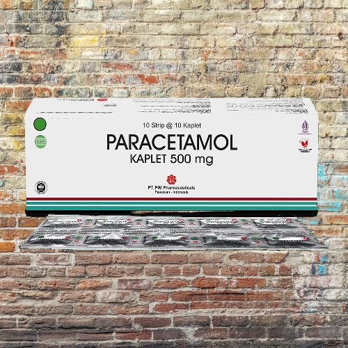 PARACETAMOL BOX PIM ISI 10 STRIP