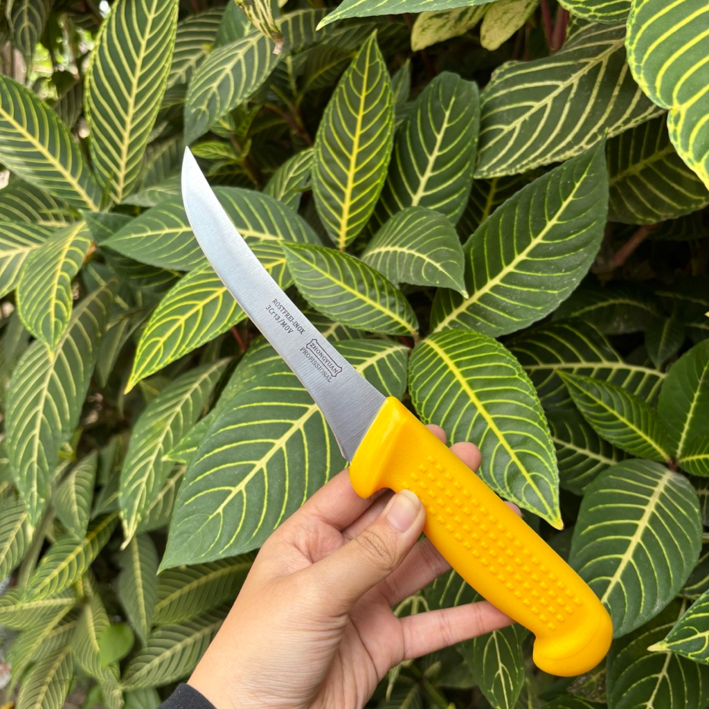 Zhongyuan Boning Gemuk Kuning