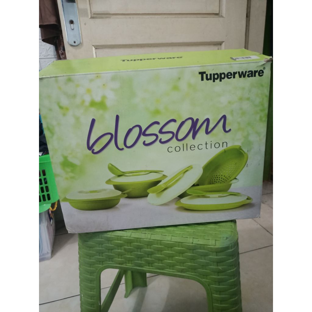Tupperware blossom collection set