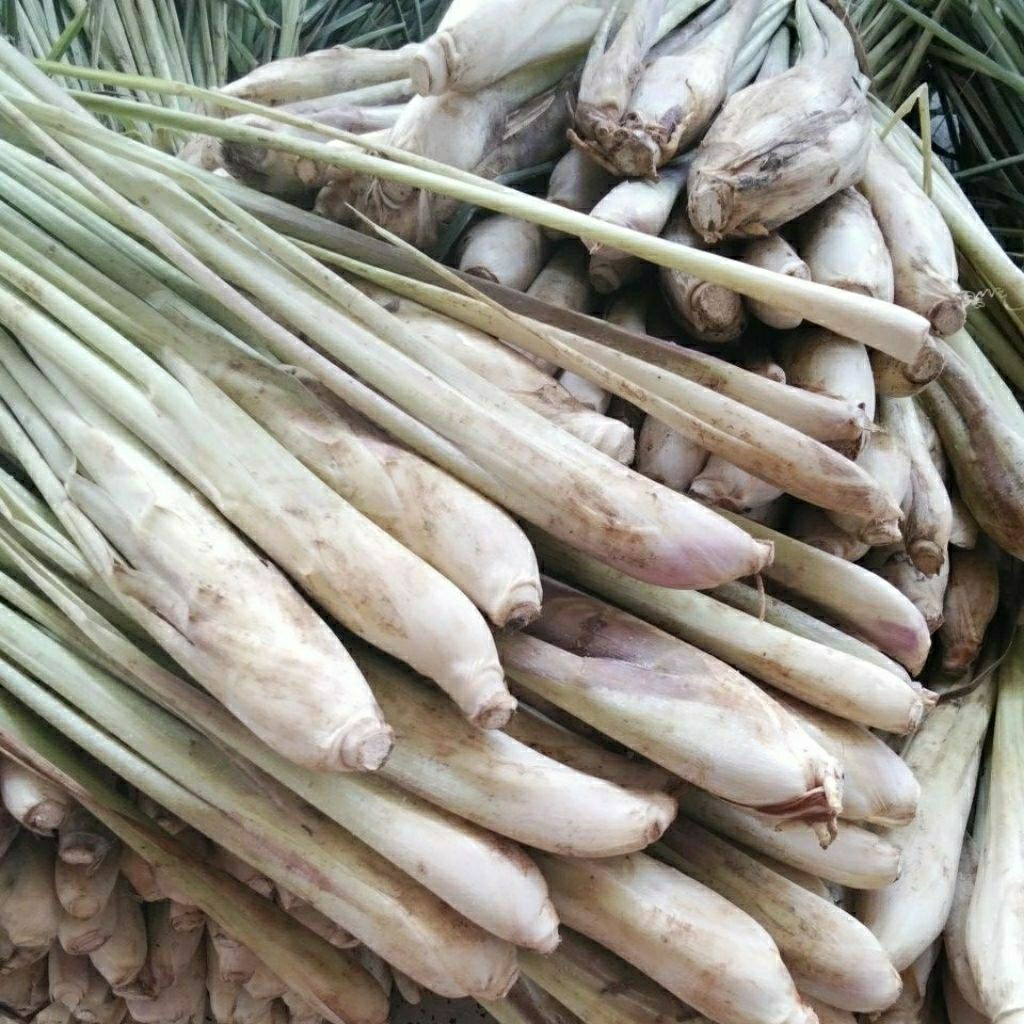 

daun sereh pilihan fresh lokal 1kg