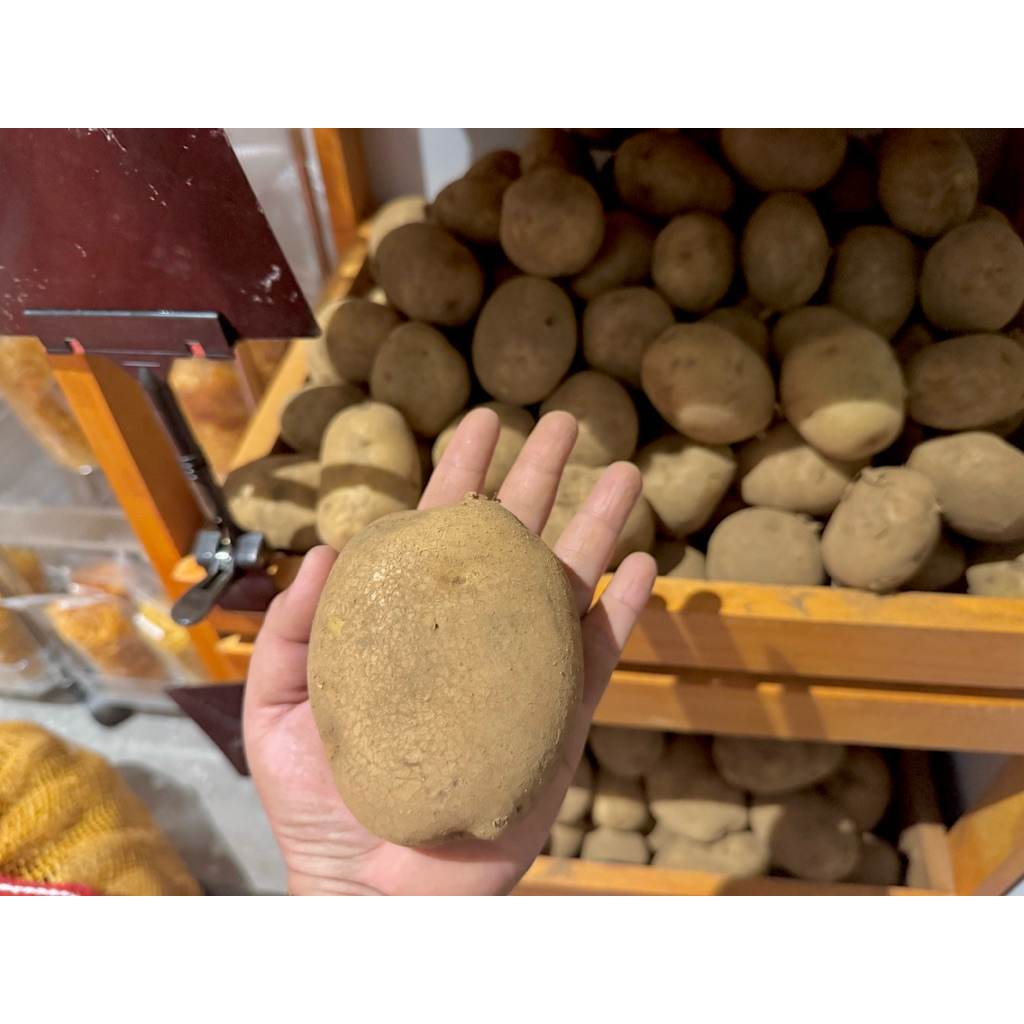 

Kentang Dieng uk Besar