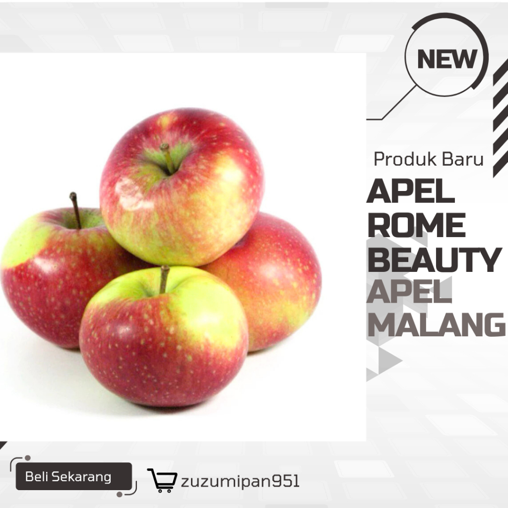

Apel Rome Beauty Malang 1Kg | Apel Batu Khas Malang Asam Manis Segar Oleh-Oleh