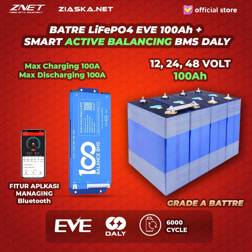 [KHUSUS KARGO & INSTANT]  LIFEPO4 BMS PASIVE ACTIVE BALANCER 12V 24V 48V 100Ah dengan DALY BMS SMART