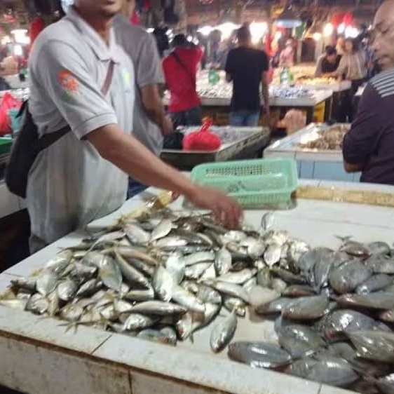Ikan Segar Fresh Market Pasar Pagi Flamboyan Pontianak/ Ikan Hidup