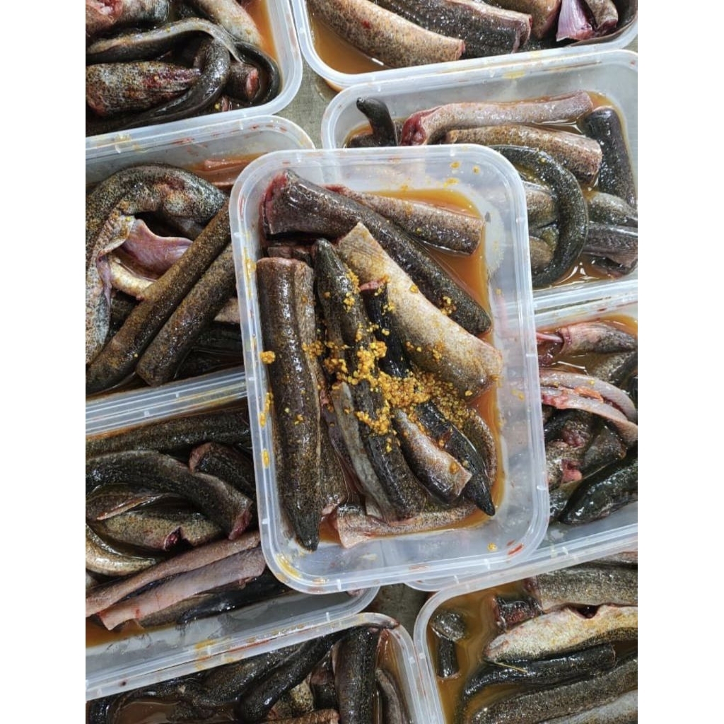 Fozen Food khusus Instan//Belut Marinasi 300gr