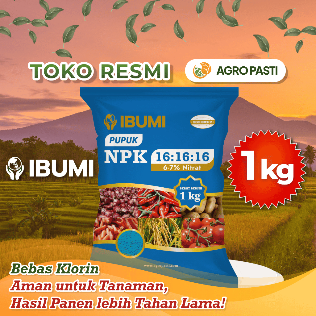 Pupuk NPK 16 16 16 Ibumi 1kg – Pupuk NPK Bebas Chlorin untuk Tembakau & Tanaman Sensitif